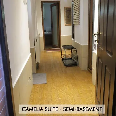 Aeroport - Relax Casa Victoria Apartment Otopeni Exterior photo