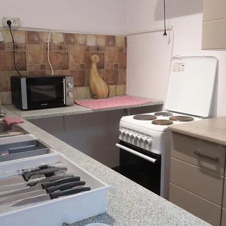 Aeroport - Relax Casa Victoria Apartment Otopeni Room photo